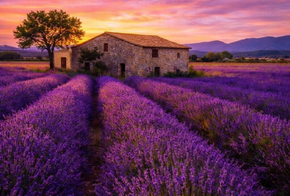 G�ney Fransa: Riviera & Provence Ke�fi Turu