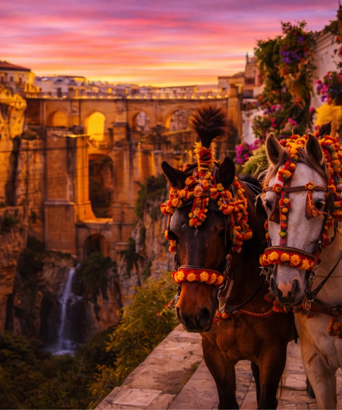 End�l�s�ten Akdeniz�e: �spanya�n�n B�y�k Yolculu�u