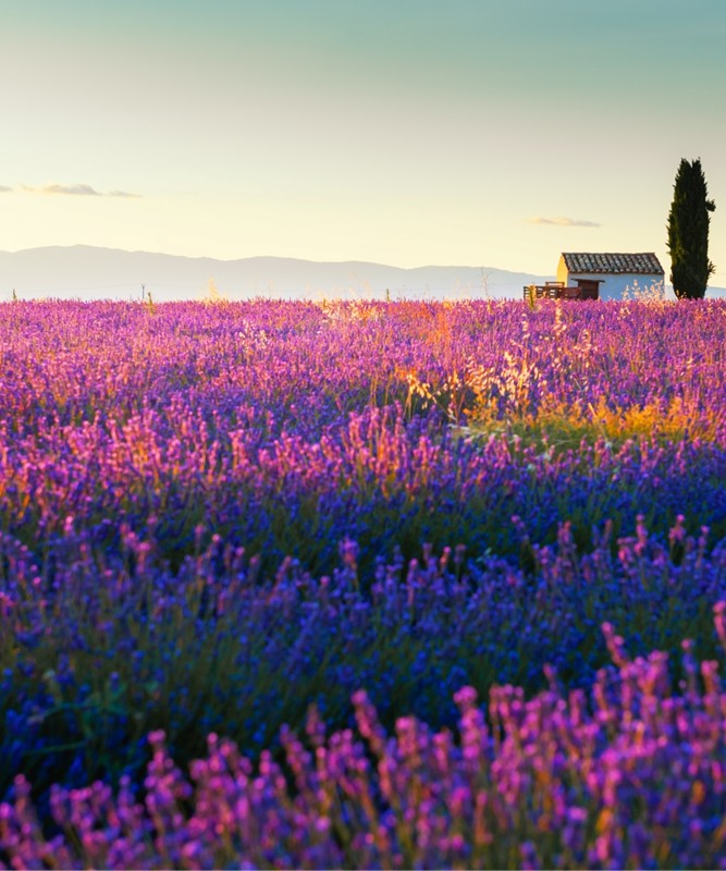 G�ney Fransa: Riviera & Provence Ke�fi Turu