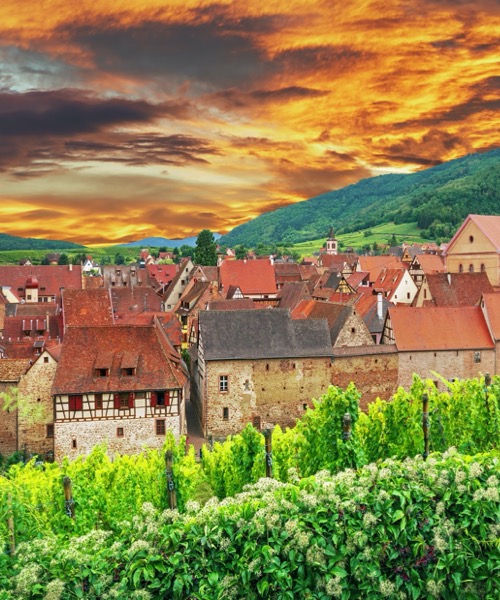 Ylbanda Alsace ( Colmar & Strasbourg)