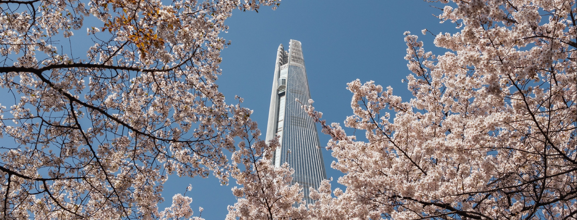 Do�unun �ki �ncisi: Kore & Japonya