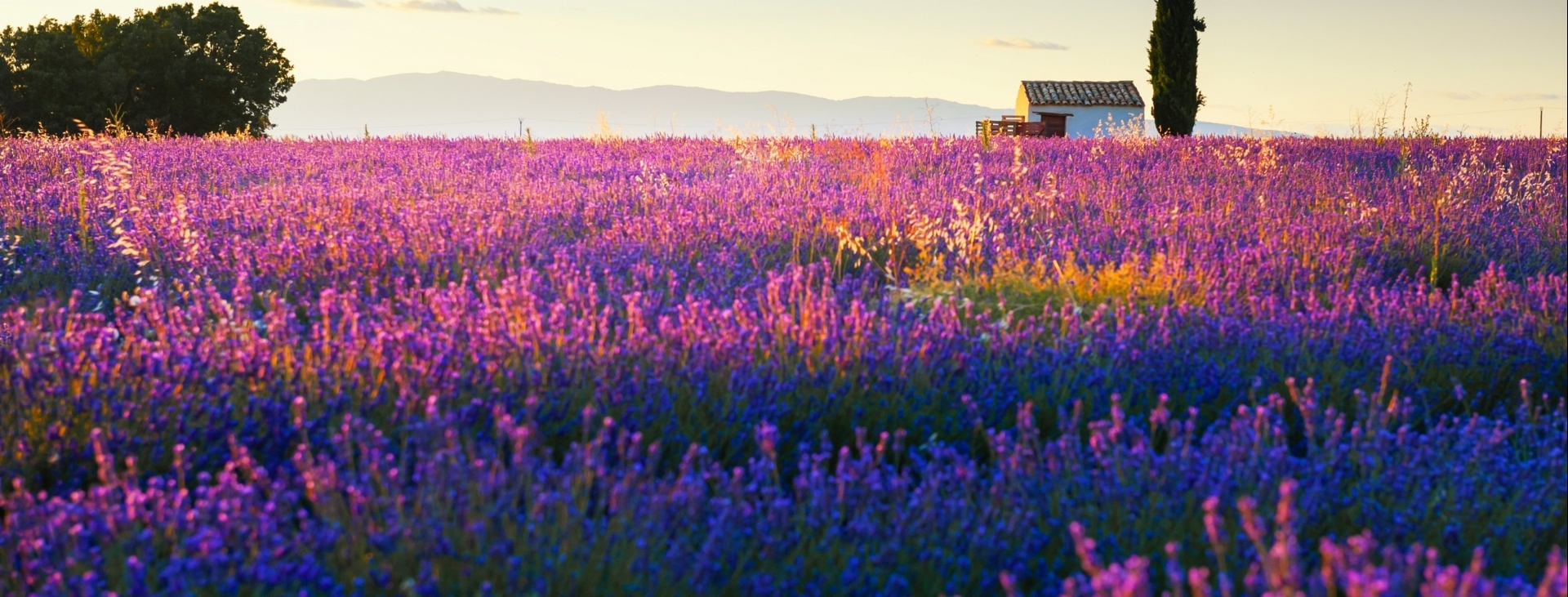 G�ney Fransa: Riviera & Provence Ke�fi Turu