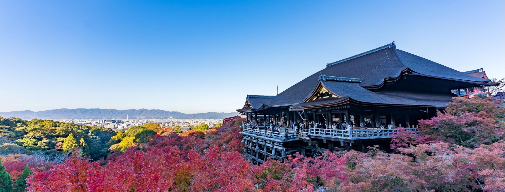 Bayramda Sakura Zaman� Kore ve Japonya